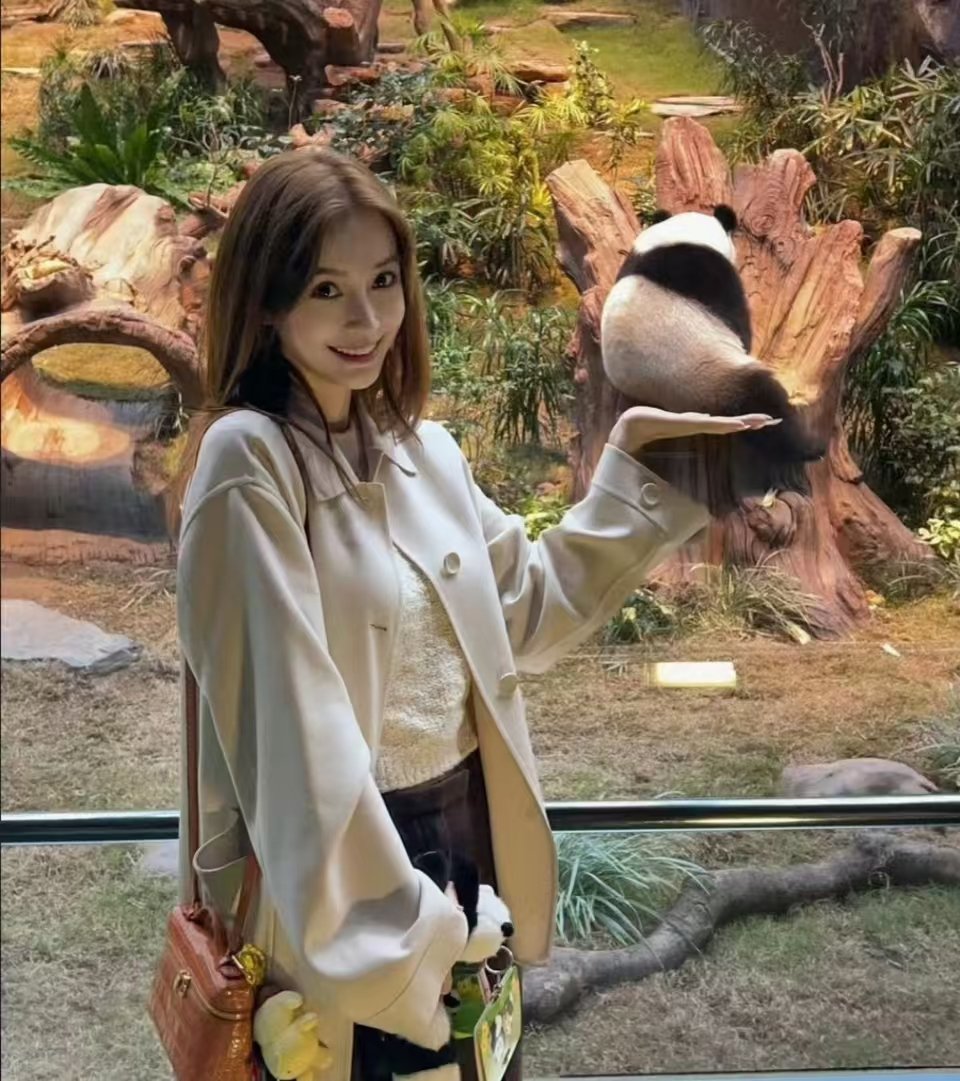 网友香港偶遇angelababy逛熊猫馆   香港偶遇angelababy逛熊猫