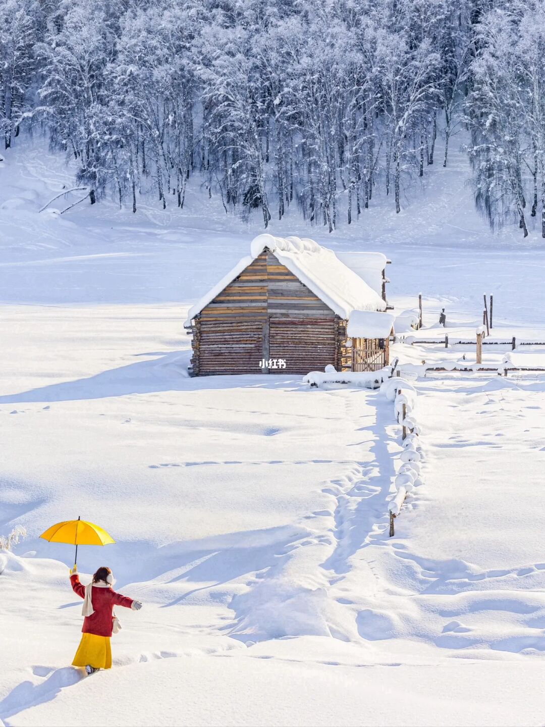 冬日阿勒泰❄️谁懂啊!这种在雪里的肆意狂欢!