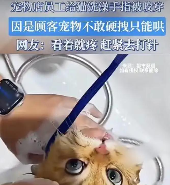 可悲！河北一家宠物店内，一名女员工正给顾客送来的猫咪洗澡，猫咪突然一口死死咬住她