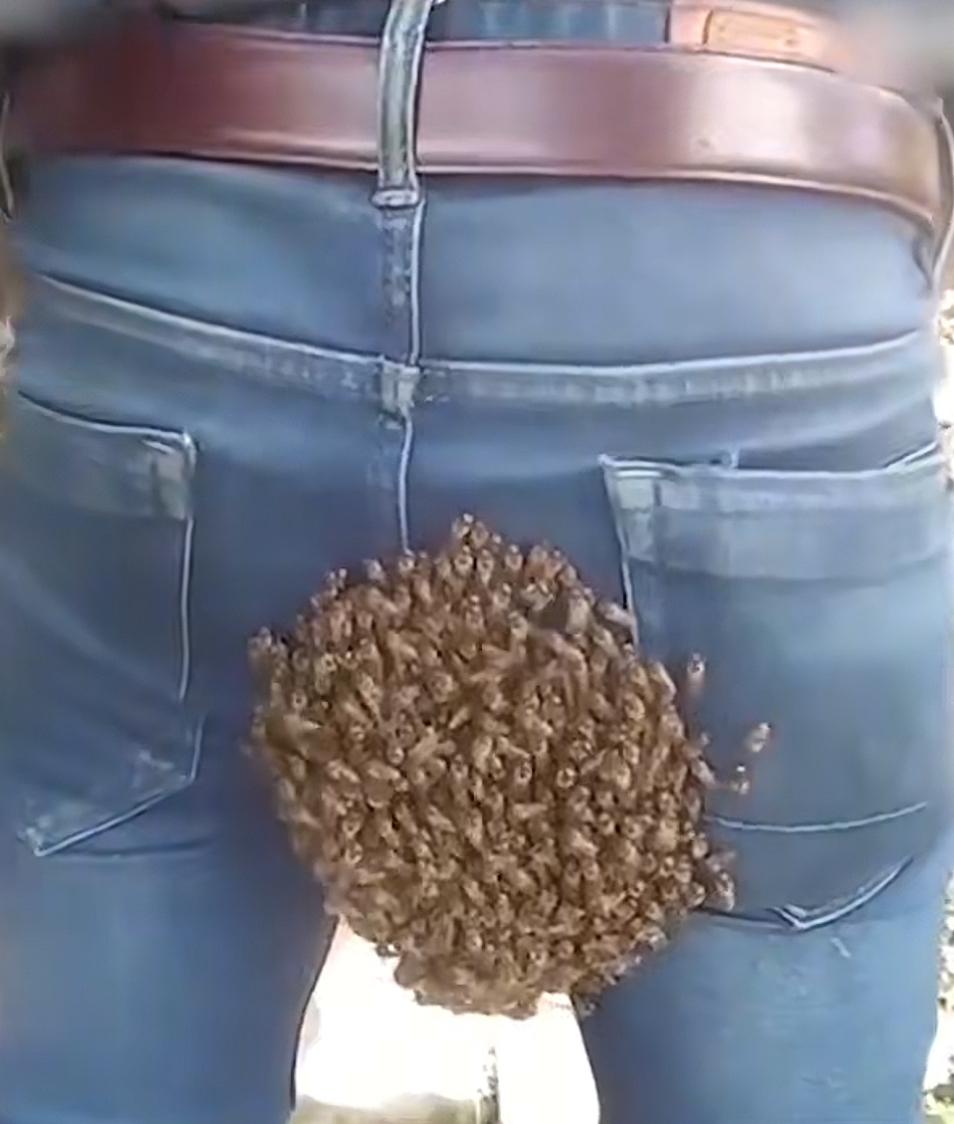 陕西一男子，跪着烧纸还好好的。烧完了，站一边掏出手机准备刷会儿视频。刚低头，耳边