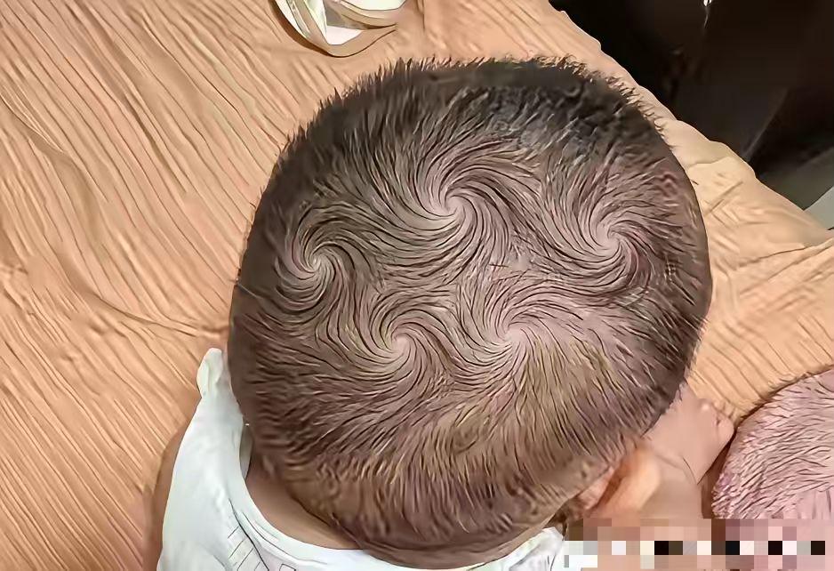 该小孩五缸发动机，长大后堪比马斯克，满头的龙卷风，必是天选。

一旋好，二旋坏，
