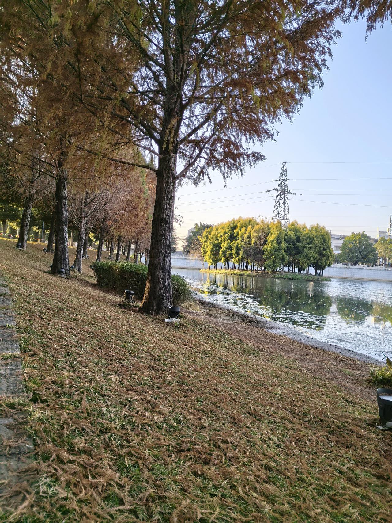 深夜深思
1.早些年，我喜欢爬山，总想看看山的背后是什么？山路走完了会不会有坦途