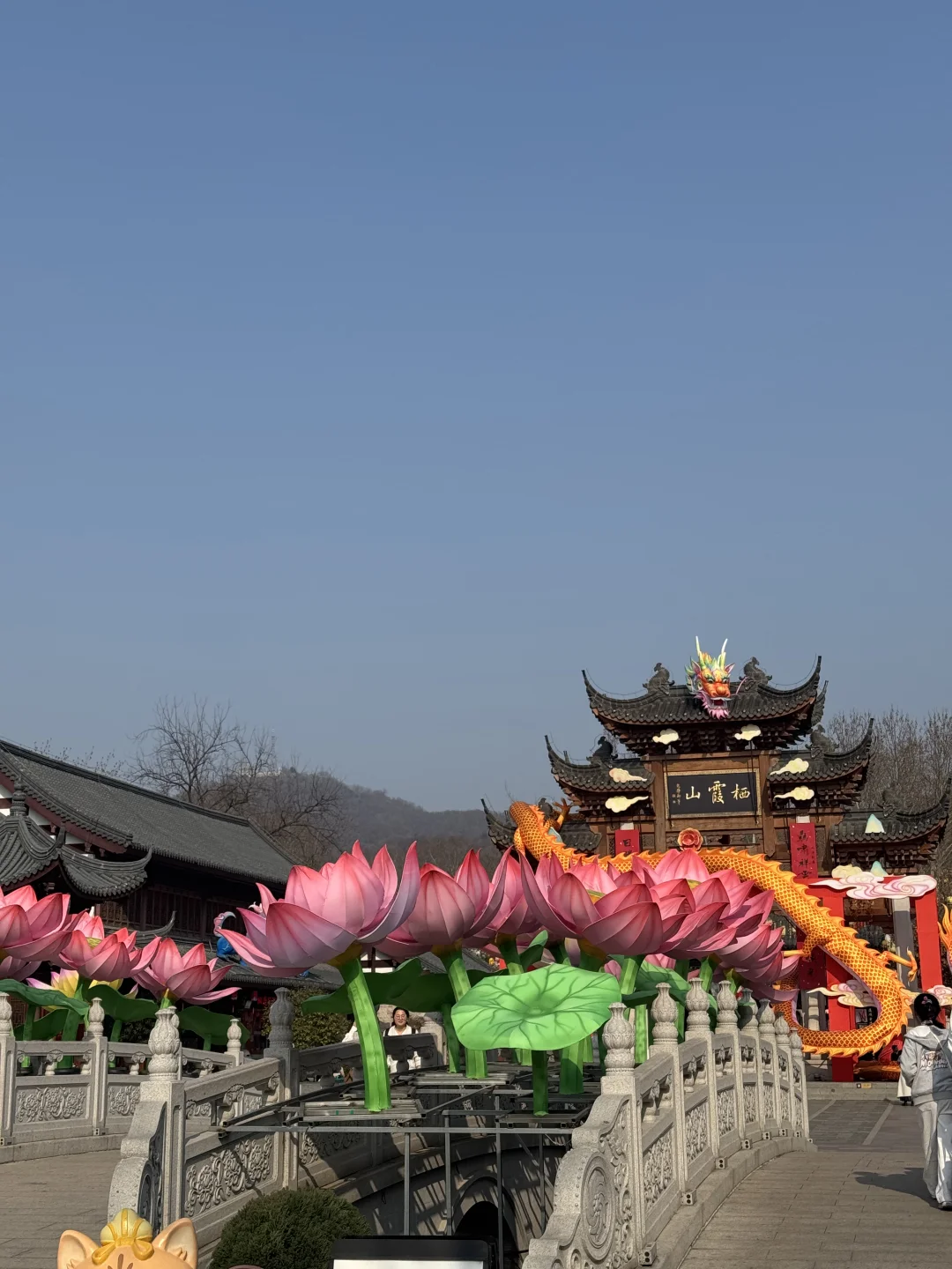 一年一度栖霞山