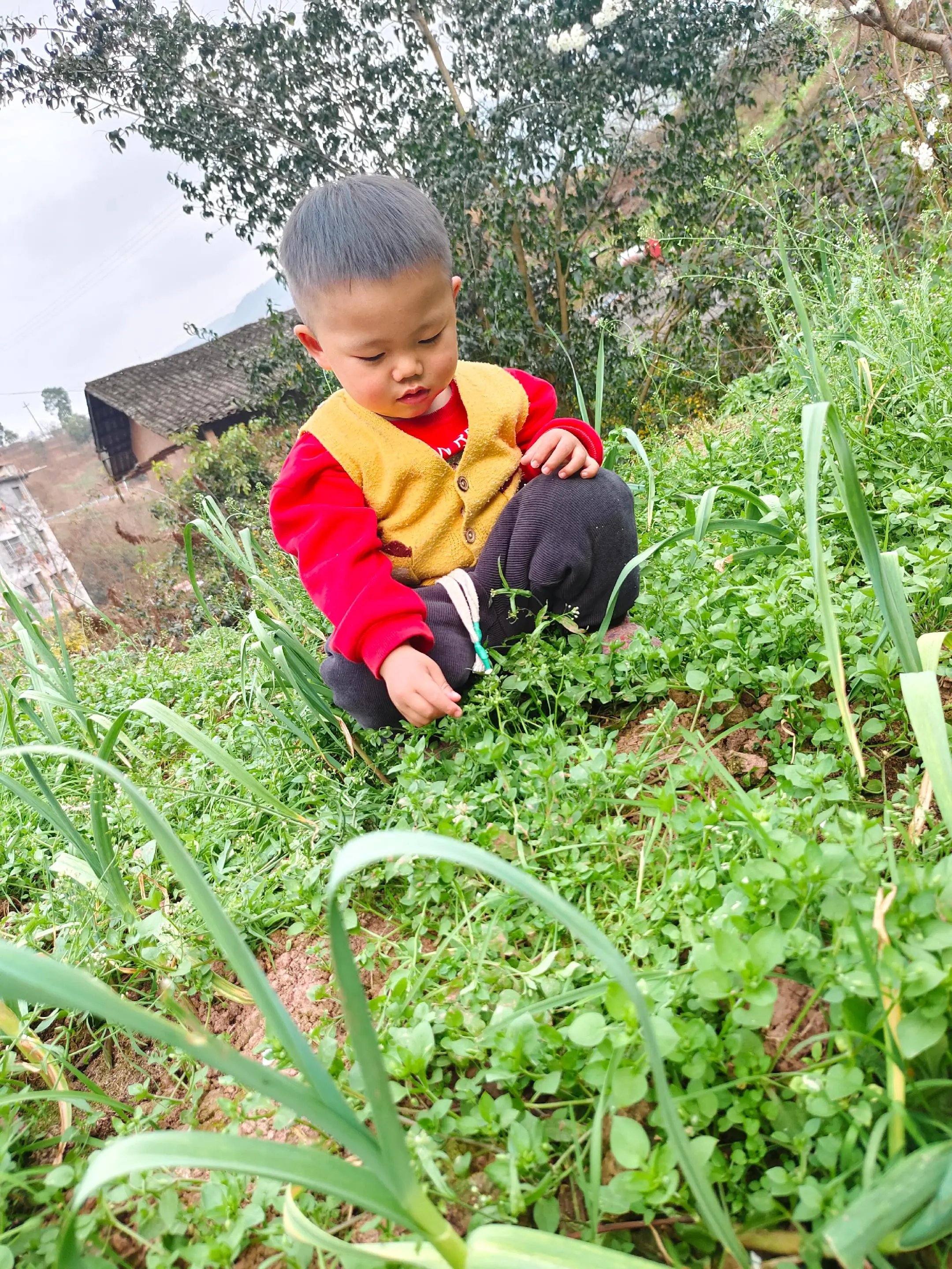 钱多钱少只要这个小乖乖在身边就好