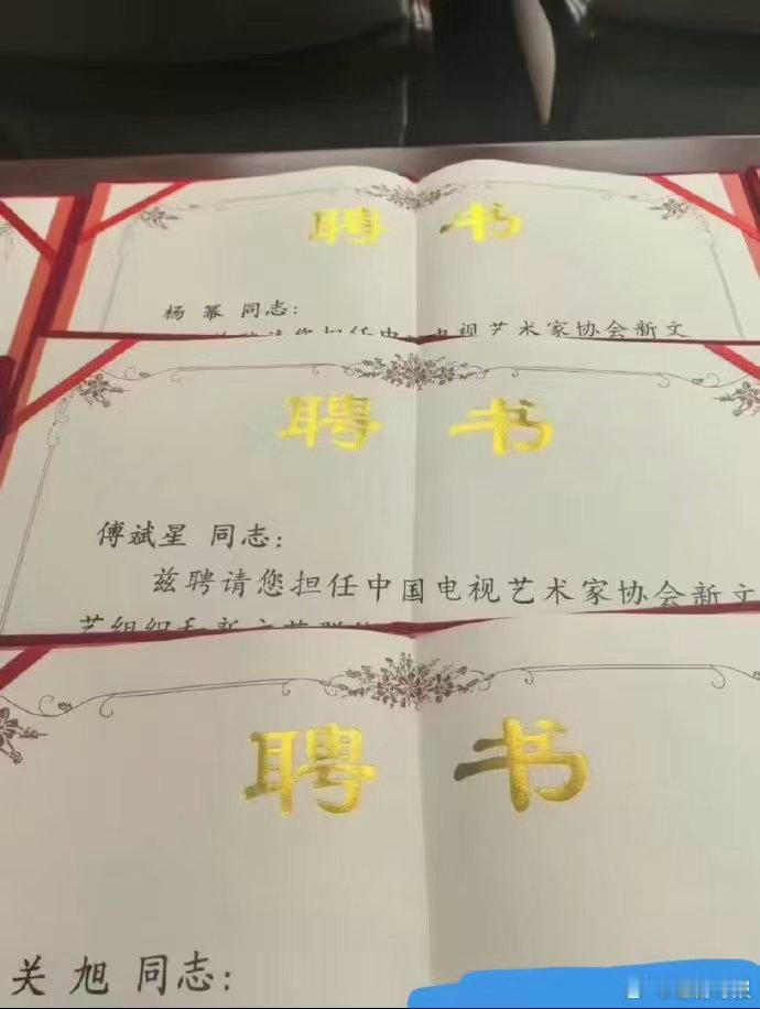根正苗红杨幂杨幂5个业内权威职务 杨幂5个业内权威职务，根正苗红杨幂上线，这下真