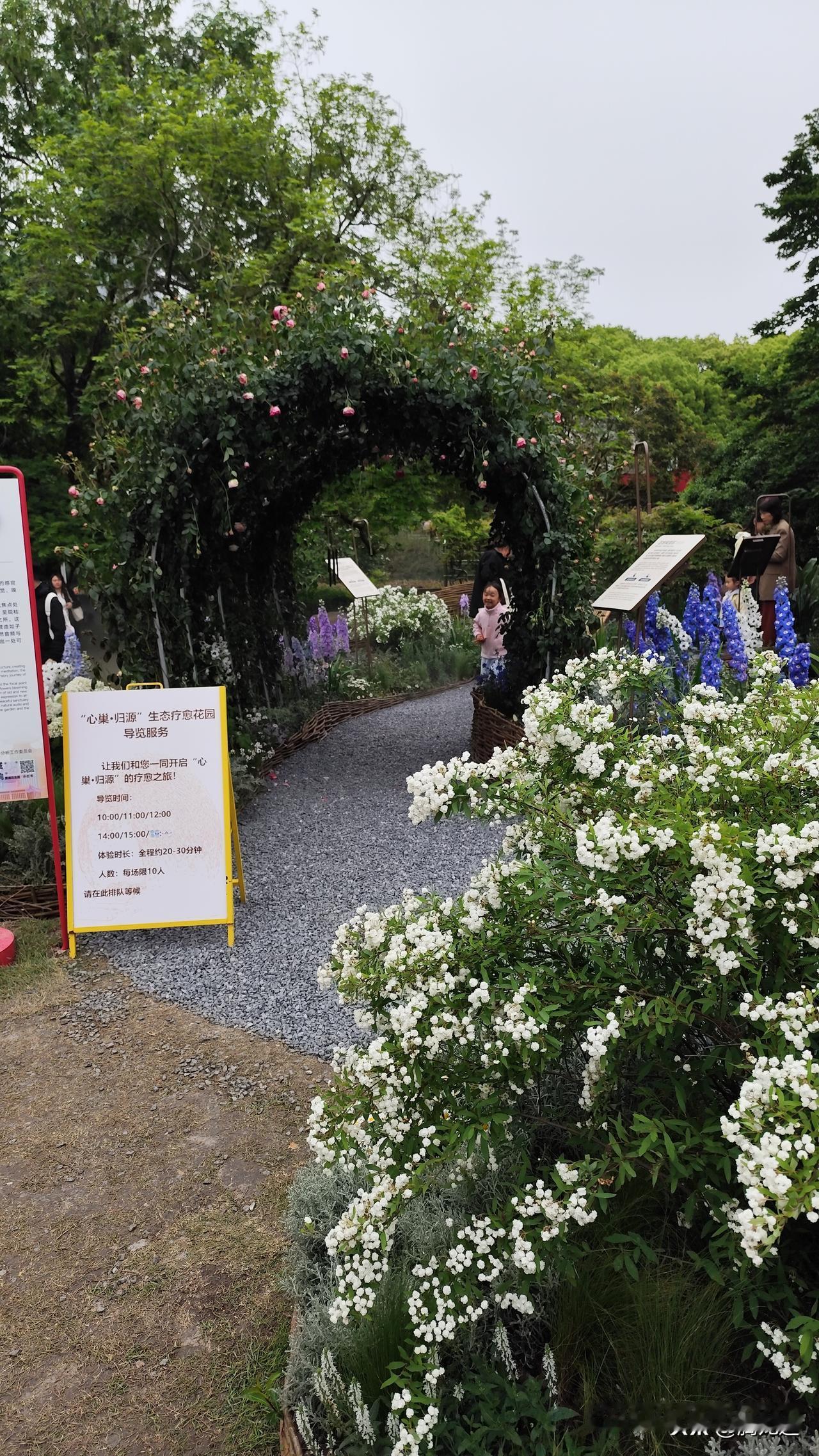 随手拍公园花草春月公园鲜花开