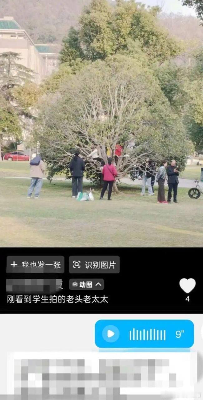 5月13日，武汉大学正式取消了社会公众进校预约制度。人流量暴增，乱象随之而来。部