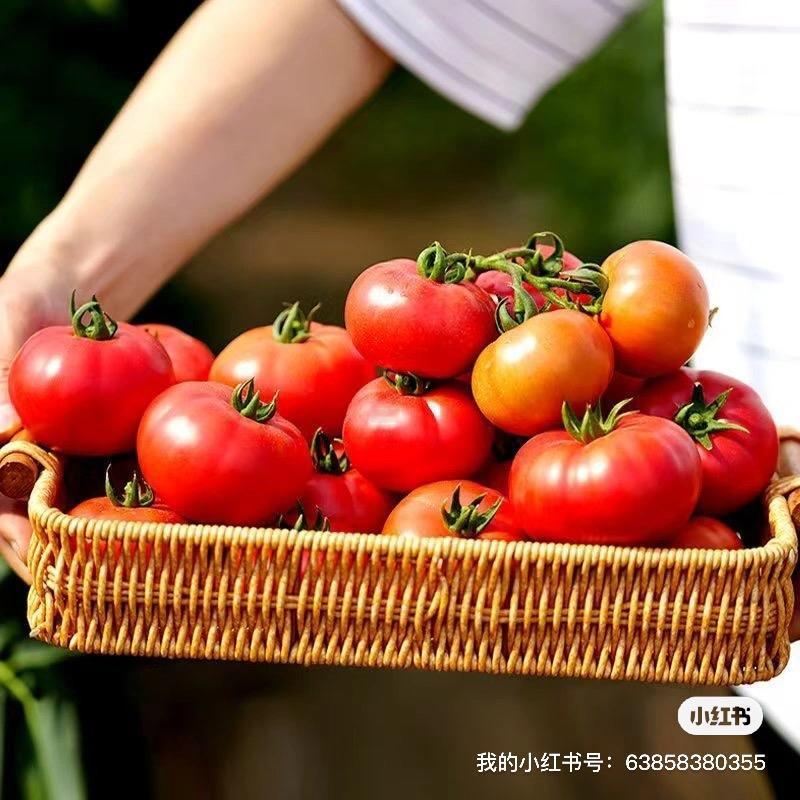 在如今竞争白热化的手机江湖里，华为就像那独孤求败般的存在，稳稳占据高端折叠屏和手