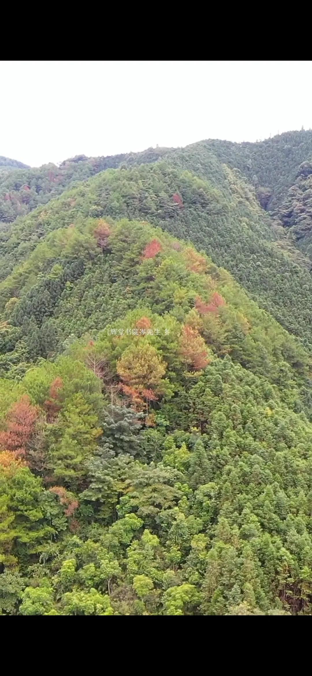 这简直就是一条龙啊，可惜了没人敢用，因为前面是庙