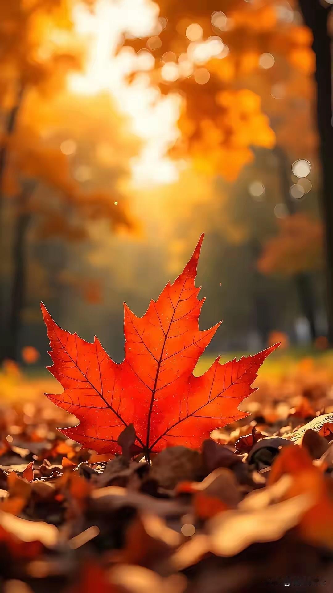 “不知是这个季节忽然让人情绪低落 还是原本心里就藏着许多不尽人意的事.”