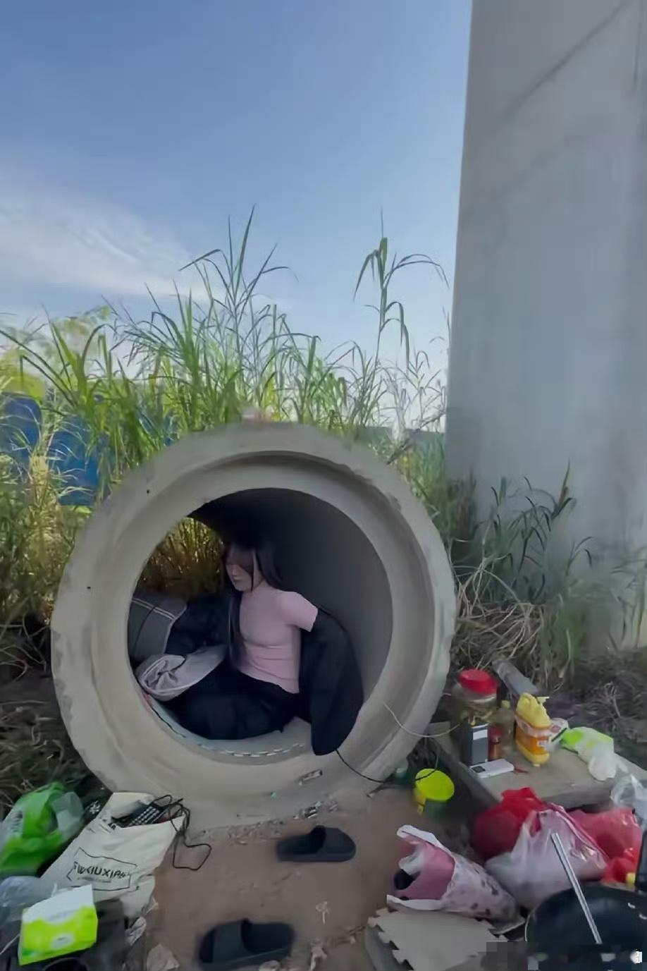 这么漂亮的姑娘，为啥在流浪呢？ 