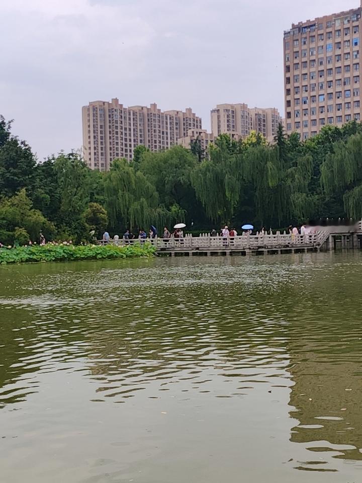 美国：付不起的代价
美伊终于走向和谈，美国不得不在没有取得胜利的和谈书上签字。