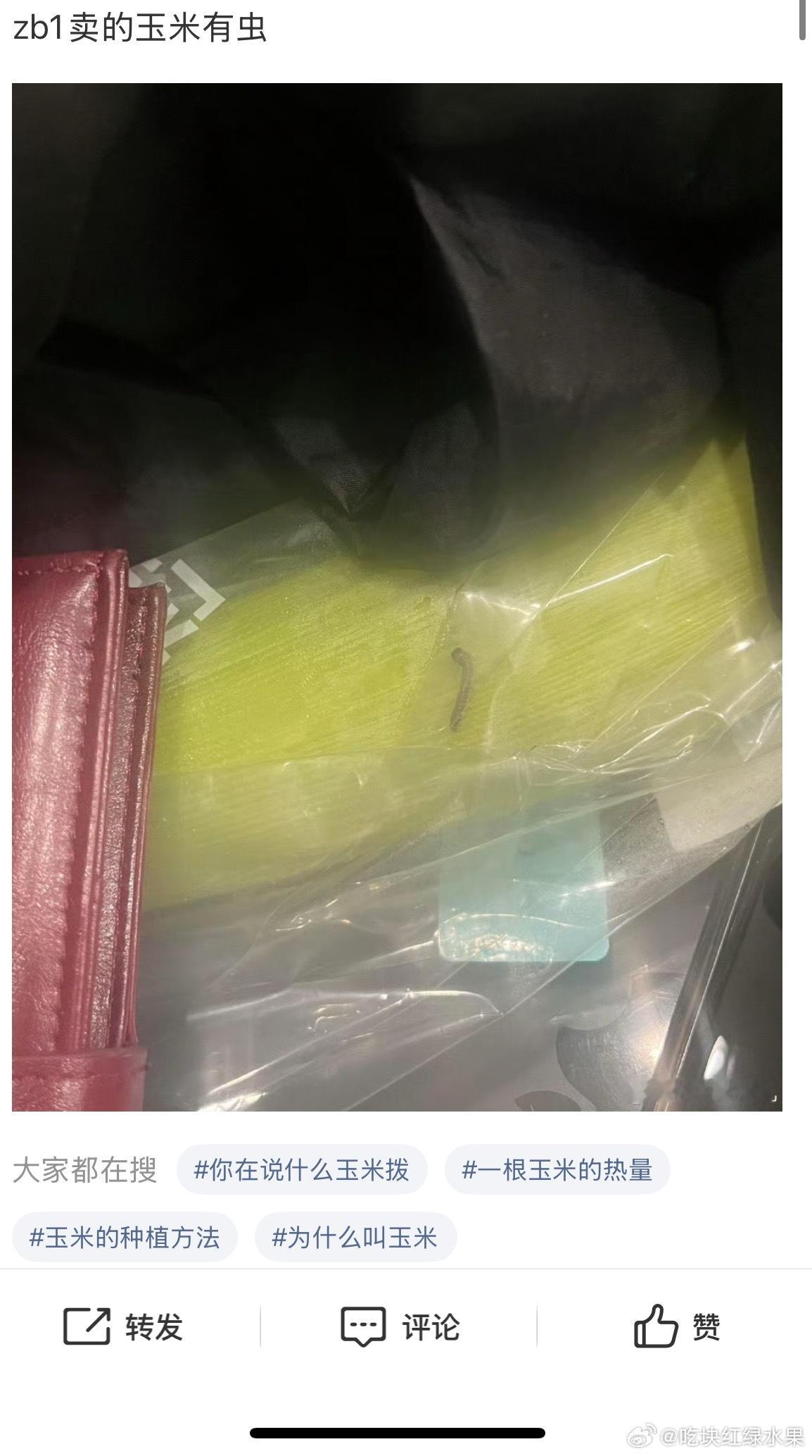 我去 有网友称zb1卖的玉米疑似有虫 但粉丝称如果卖的是他们的叼/毛 估计还能卖