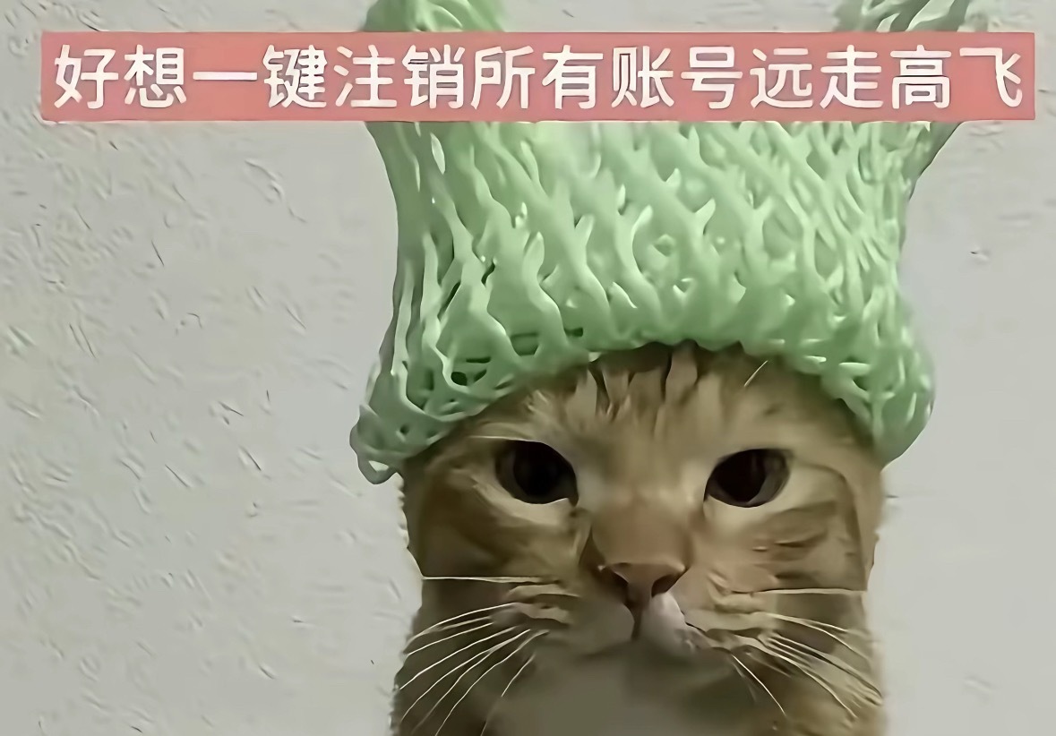 我每天 