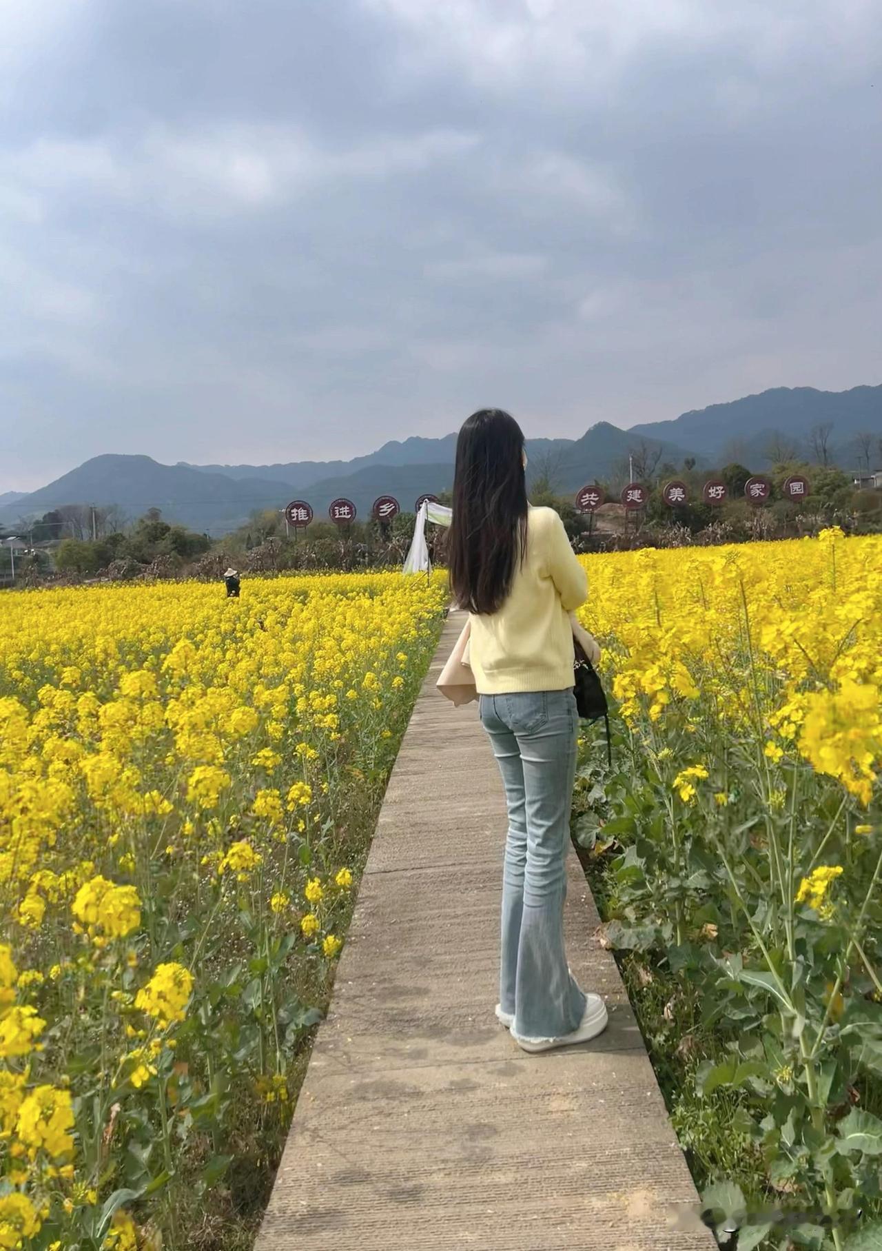 漫步在花海中，感受大自然的美好。