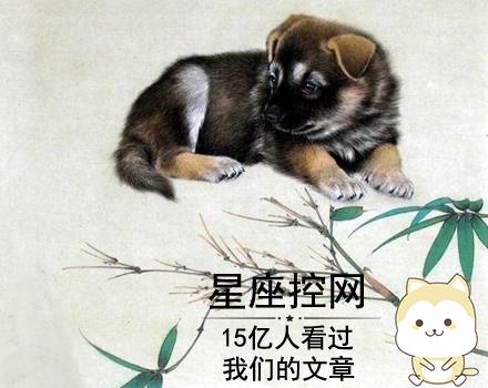 生肖属狗的朋友，诚实又靠谱，做人也很稳，为人仗义，你身边有这样的朋友吗？