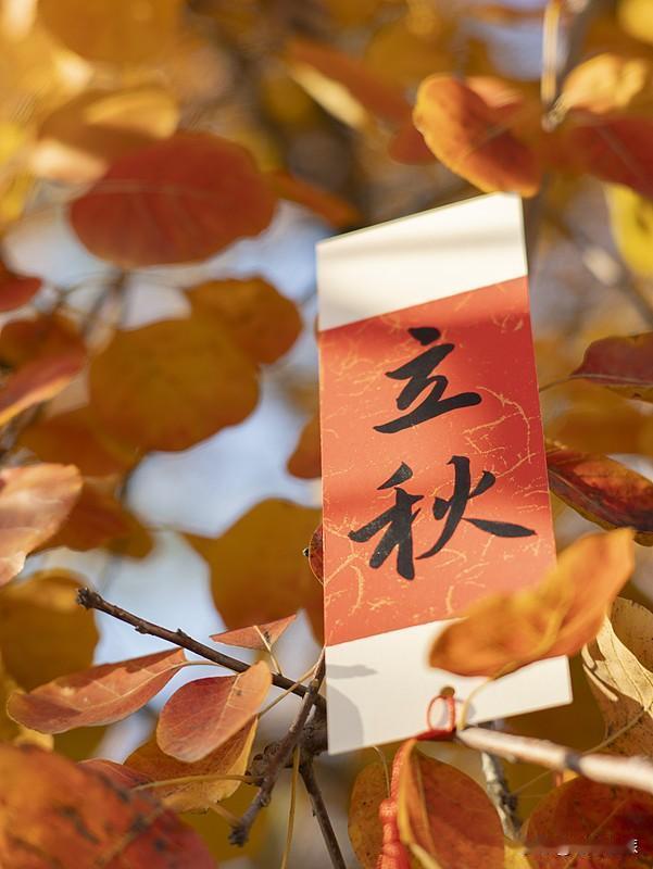 立秋后天气真的凉下来了吗？这可不一定。立秋只是天文节气，并非气象上真正入秋，气象