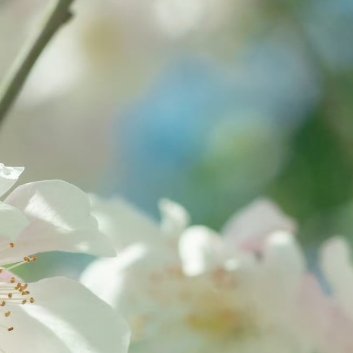 阳光信用阳光信用 ‎每日一善 不能接受失败，也意味太想去成功了，从心理学上解释，