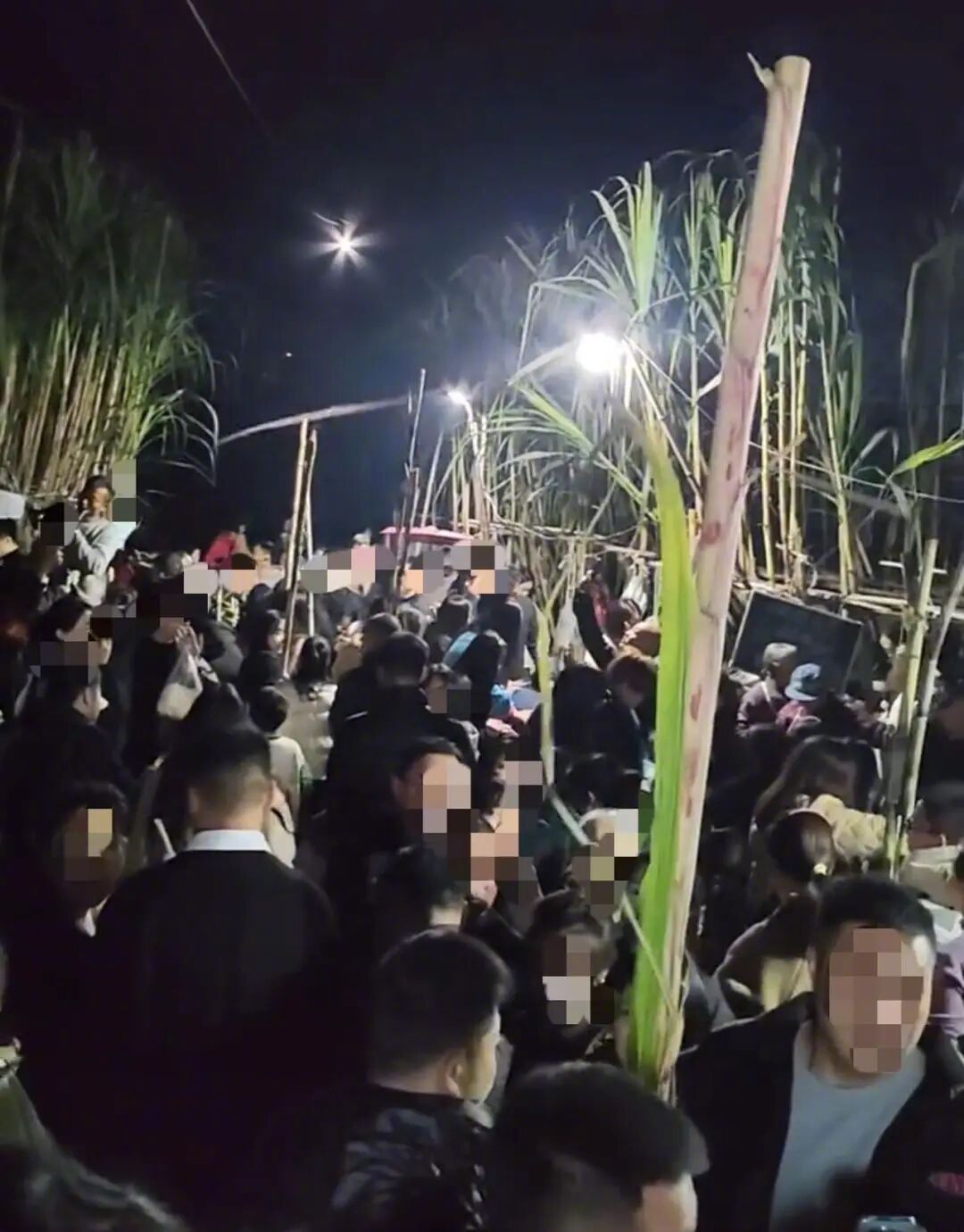    一个聪明人精心策划的不可策划的流量游戏。其走红源于精准抓住了都市人群对田园