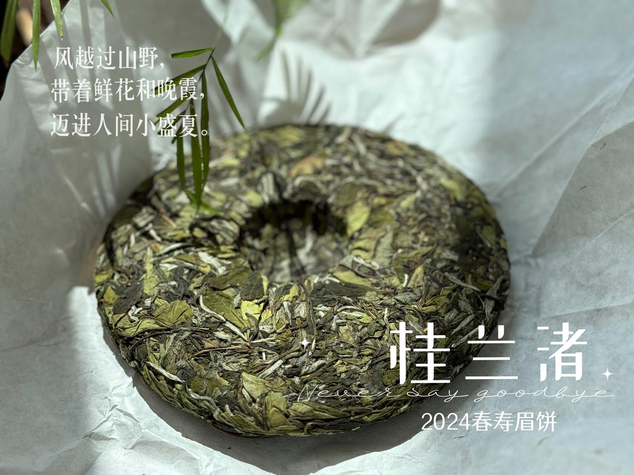快出水和洗茶没区别，白茶坐杯泡才好喝？
优质茶的内质丰富，快出水才是最好的选择，