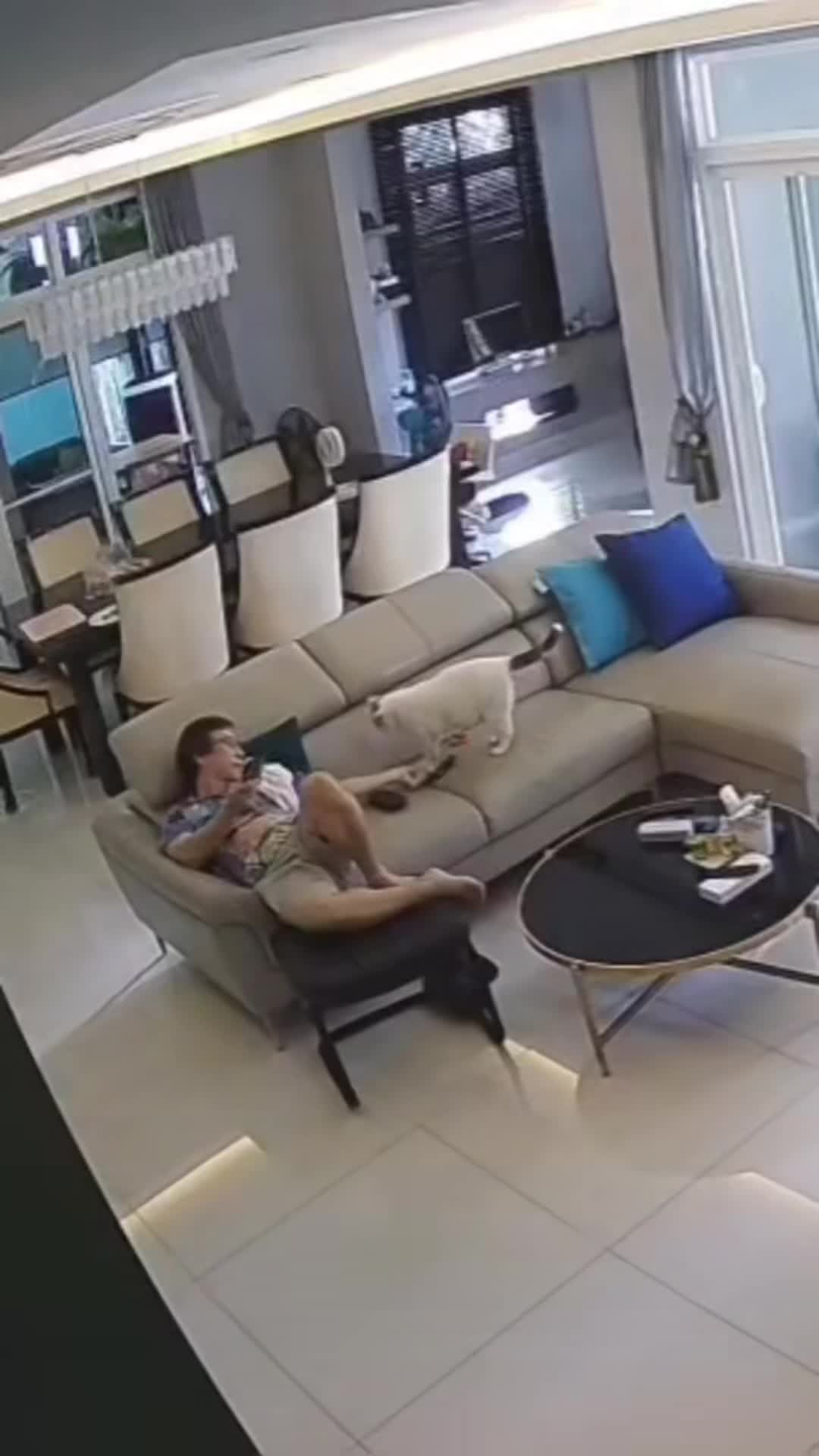 猫咪：日子怎么可能跟谁过都一样