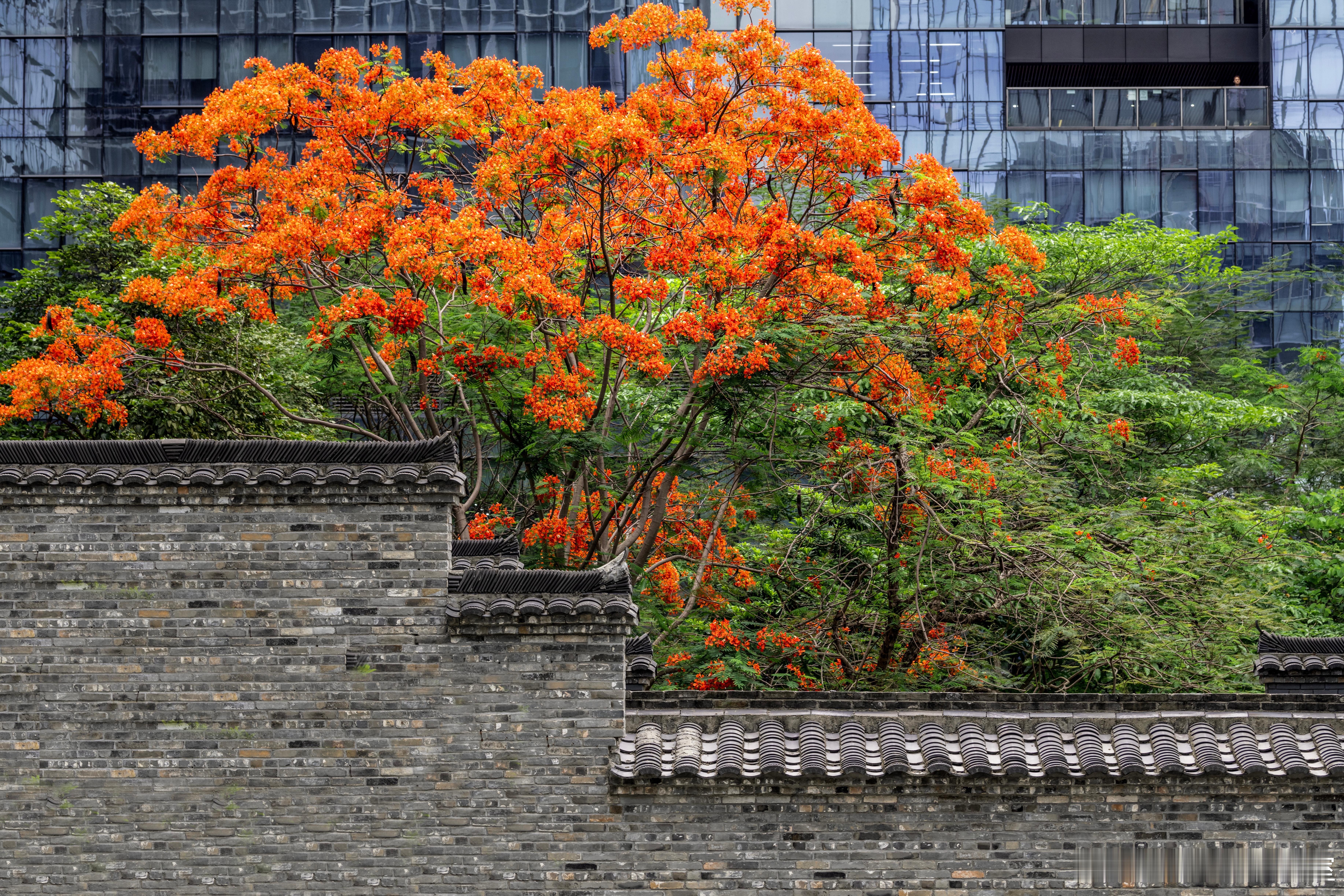 风险管理、内部控制、风险控制是同一个概念吗？风险管理是确保企业“做正确的事”核心
