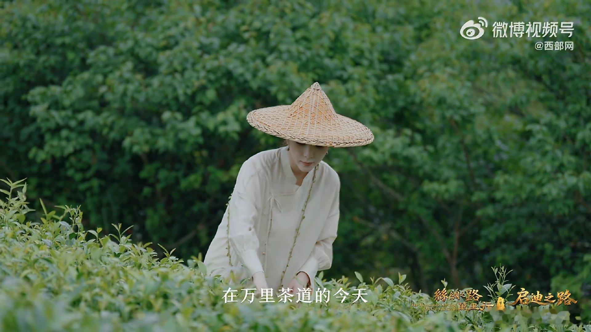 丝路连山海一叶看千年茶香飘向海外让更多人爱上东方味道 