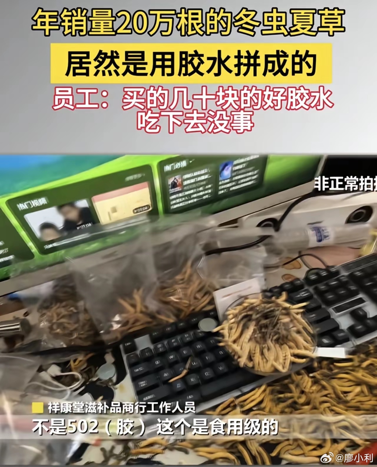 年销20万根的冬虫夏草是胶水拼的冬虫夏草是假的已经无语了，居然还是用胶水拼的，用