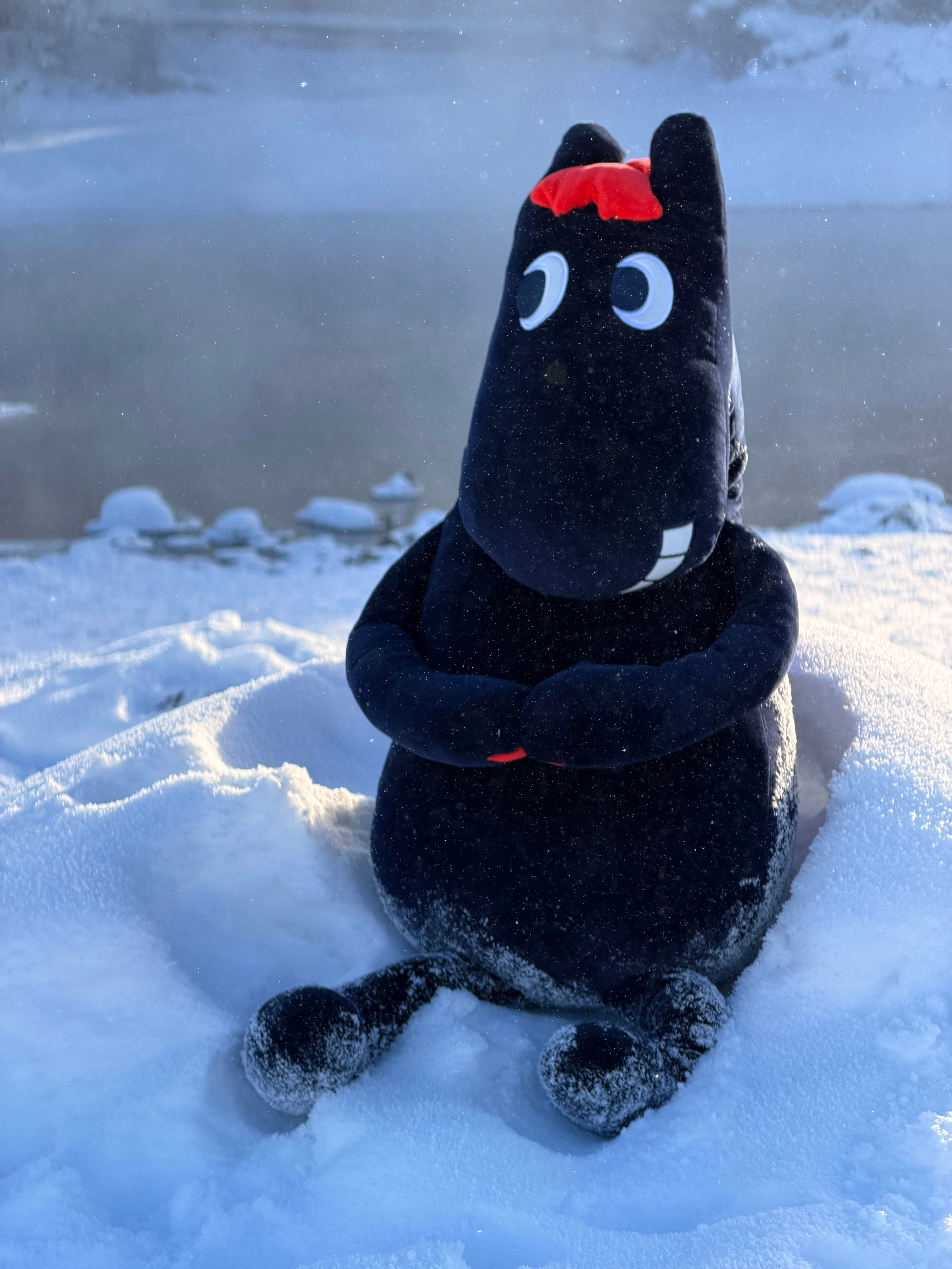 冻成马了蔚来全新es8蔚来全新es8西安自驾新疆 阿勒泰·新疆喀纳斯国家地质公园