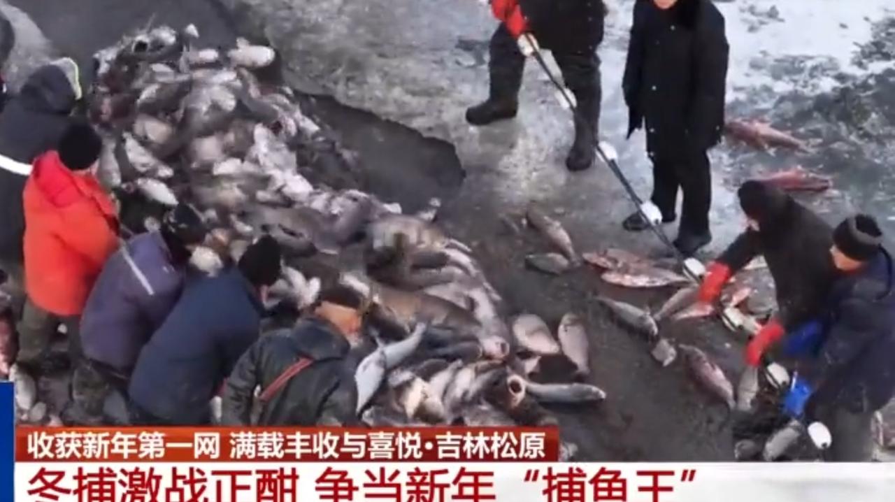 吉林松原的新年冬捕盛景
 
这支短片聚焦吉林松原的冬捕现场，冰封的湖面上，渔民们