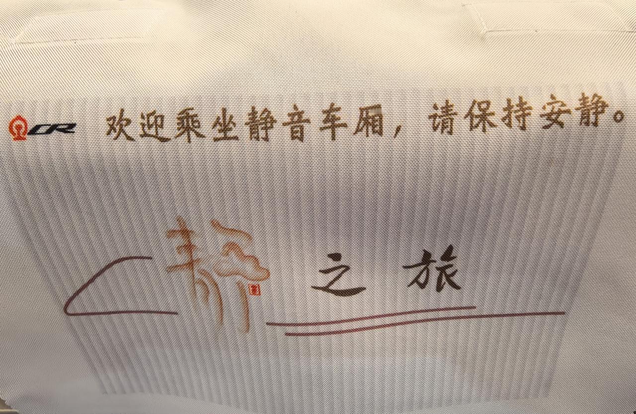 静音车厢，不能止于“听起来很美”，更不能形同虚设。

第一次选乘“静音车厢”，原