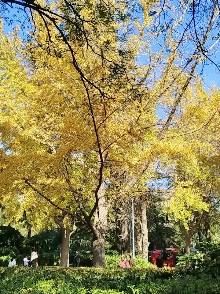 公园随手拍一路风景 晒一下你手机里面最美的天空照