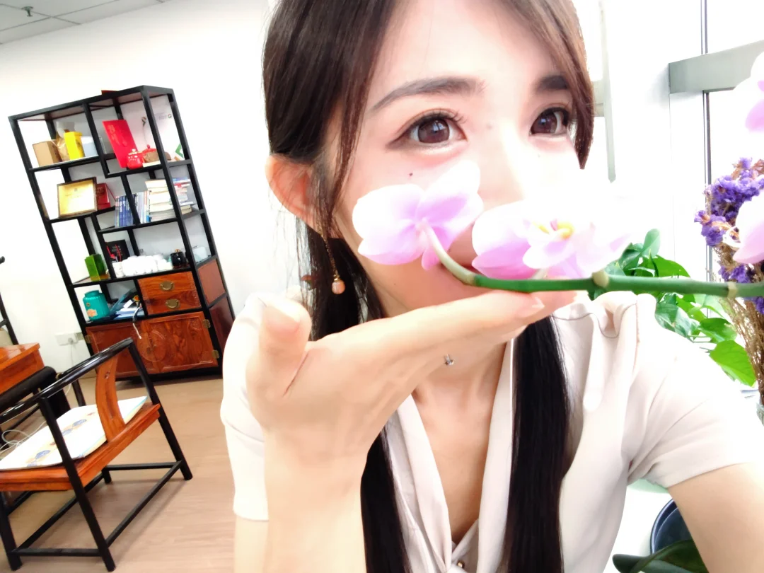 蝴蝶兰开花了
