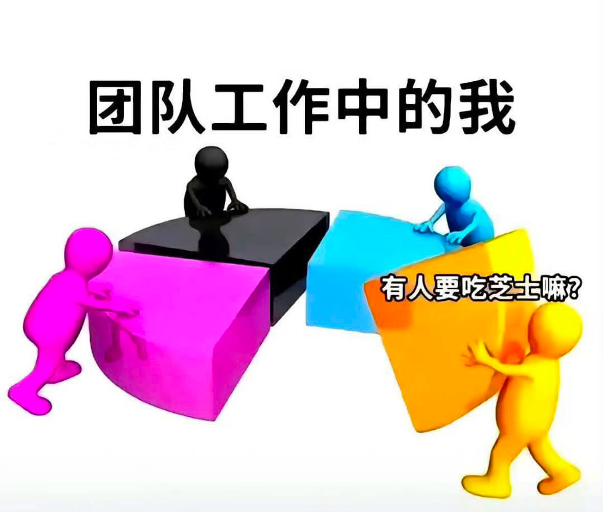 芝士就是力量🧀 