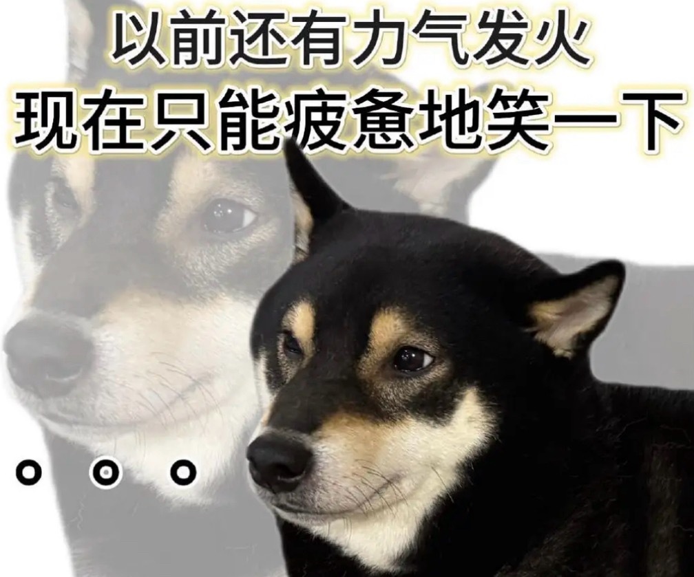 所以这么硬的翻身仗打得漂亮的同时也就表明这纯纯靠自己挣到这份耀眼前途究竟让多少人