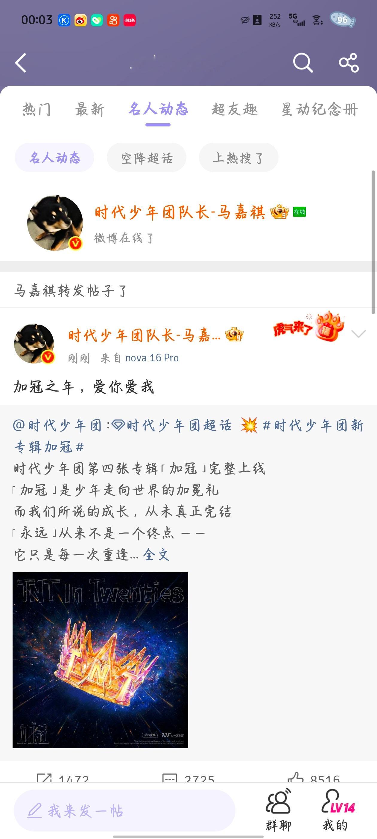 📷  专栏 · -抓猫之旅🐱-