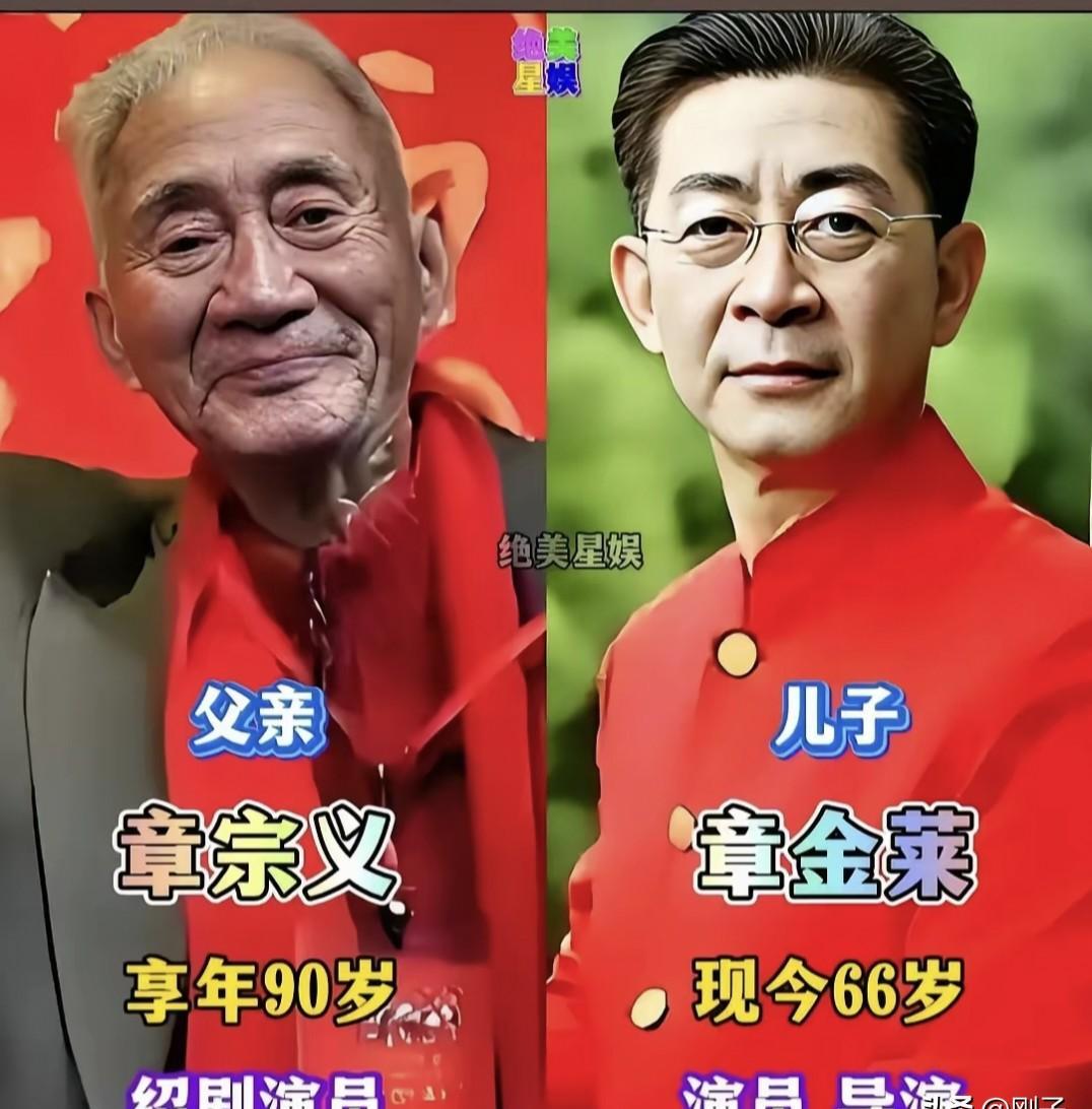 张默一记重拳，亲儿子亲自把自己的星途拦腰斩断。
那一刻，坐在监视器后的张国立，瞬