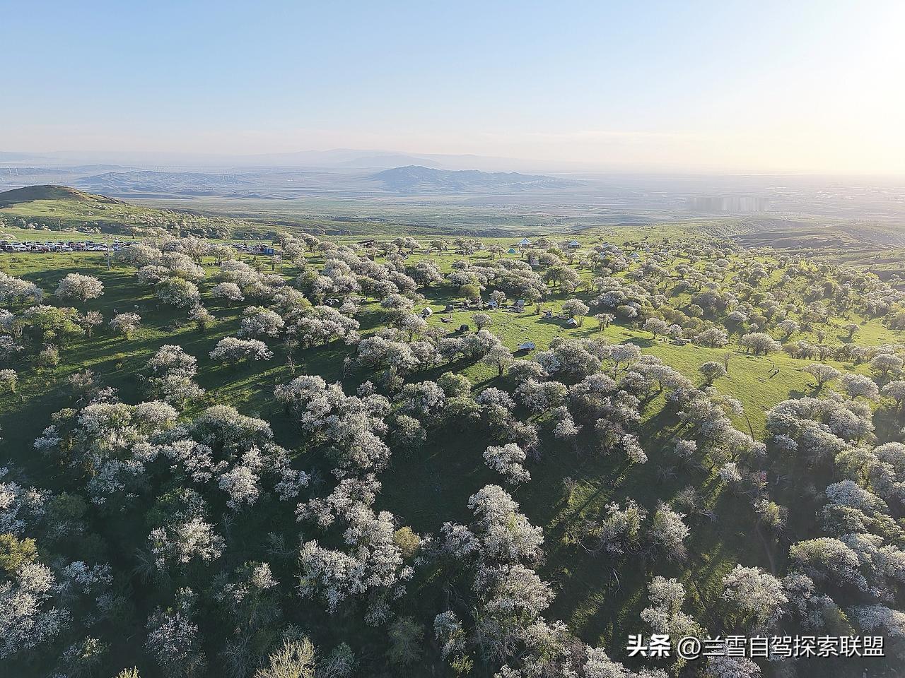 今年五一大假，新疆旅游太火了，五一当天我们自驾团20多台车集合选在服务区，到了服