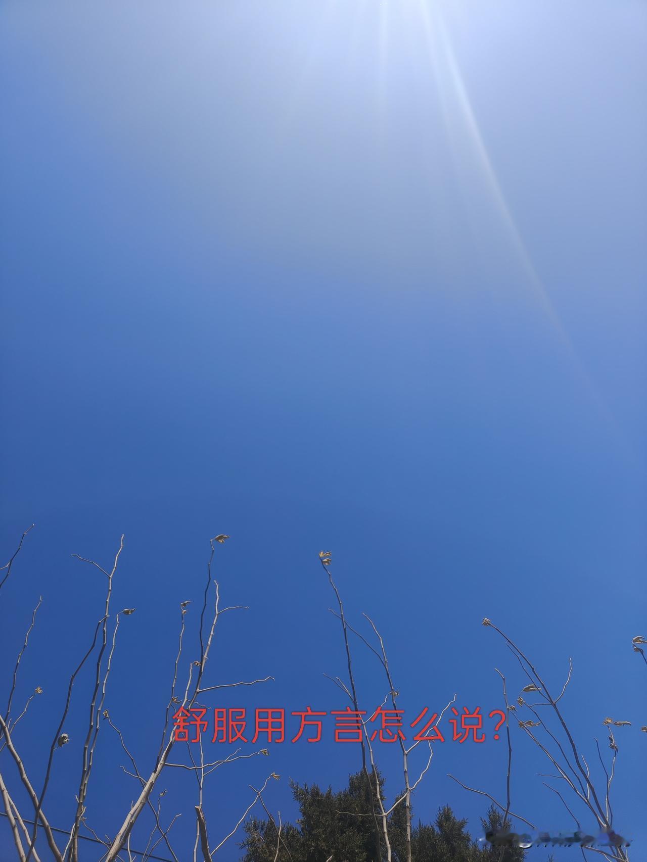 你们的方言“舒服”是怎么说的?
山东方言