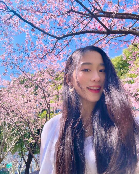 和樱花树同框了🌸🌸🌸