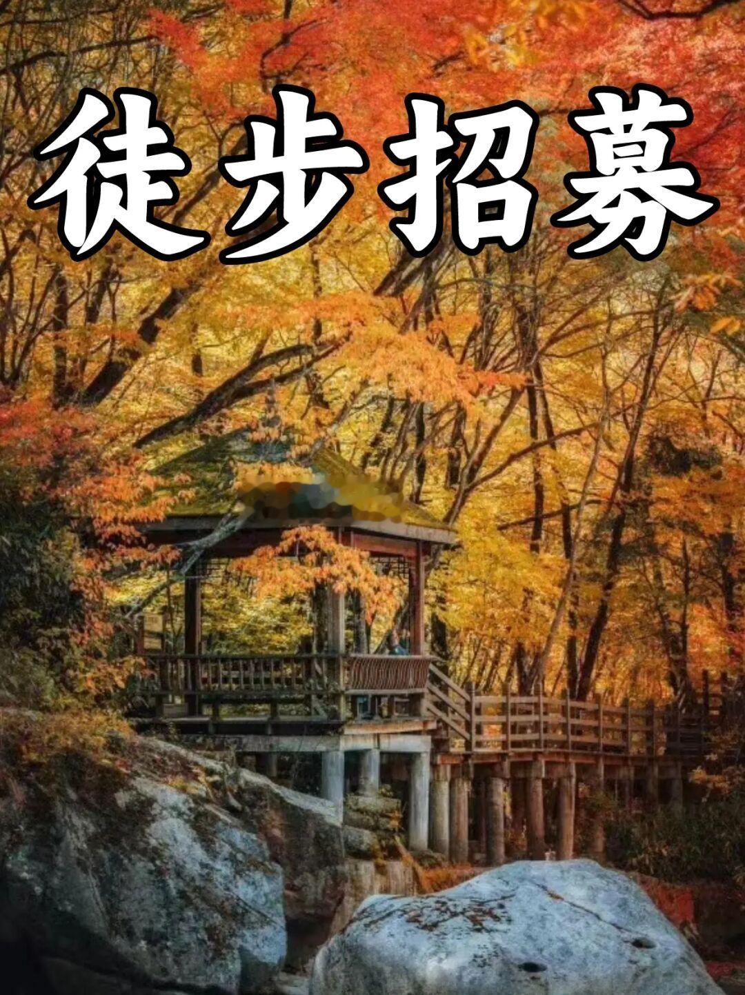 盘点成都周边徒步❗10个看红叶彩林的好地方