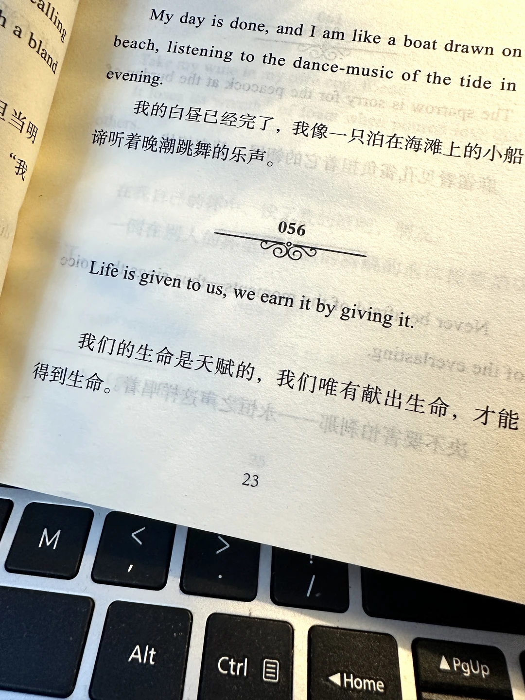 生活作家出版计划 文学的浪漫 作家笔下的浪漫 永远被文字所震撼 书摘 ...