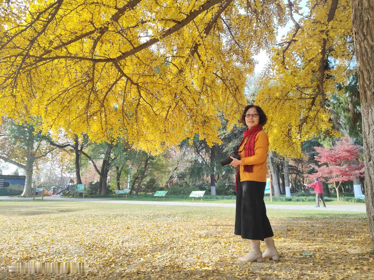 退休的生活主打一个随心所欲。这些天睡眠也是不太好，断断续续的。一点醒三点睡，今天