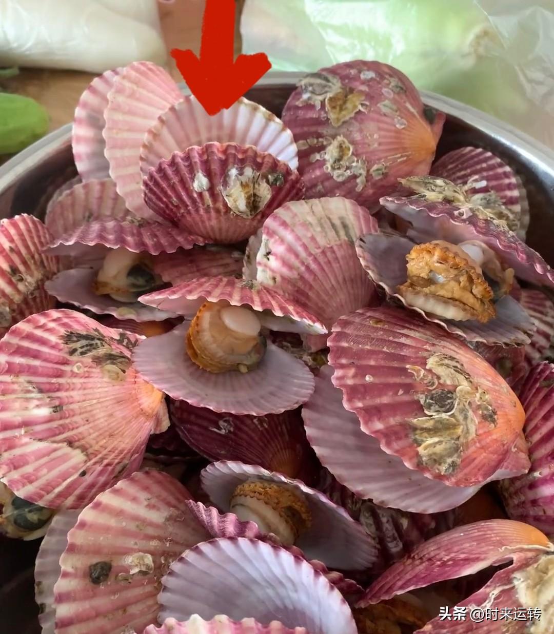 花高价买进口的，到底是买个进口标签，还是真的物超所值？对于普通家庭来说，日常消费