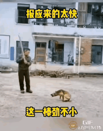 真是活该，人家狗狗又没有招惹他，他拿棍子就要打狗，而且是狠狠的那种，想要打死狗狗