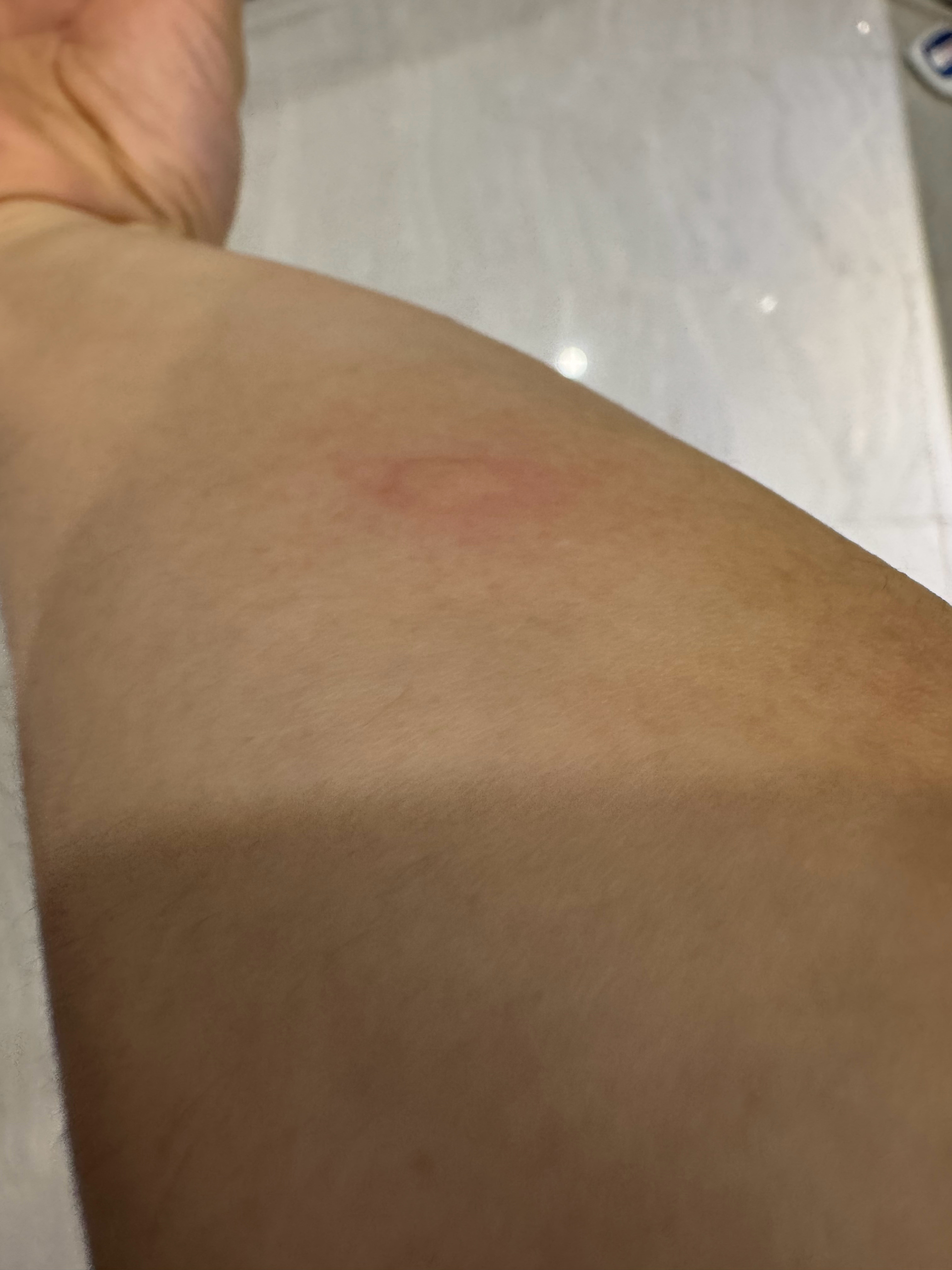 我恨蚊子，我就出来拍这个开花的曼陀罗，前后大概不到两分钟，就没有用驱蚊水了，然后
