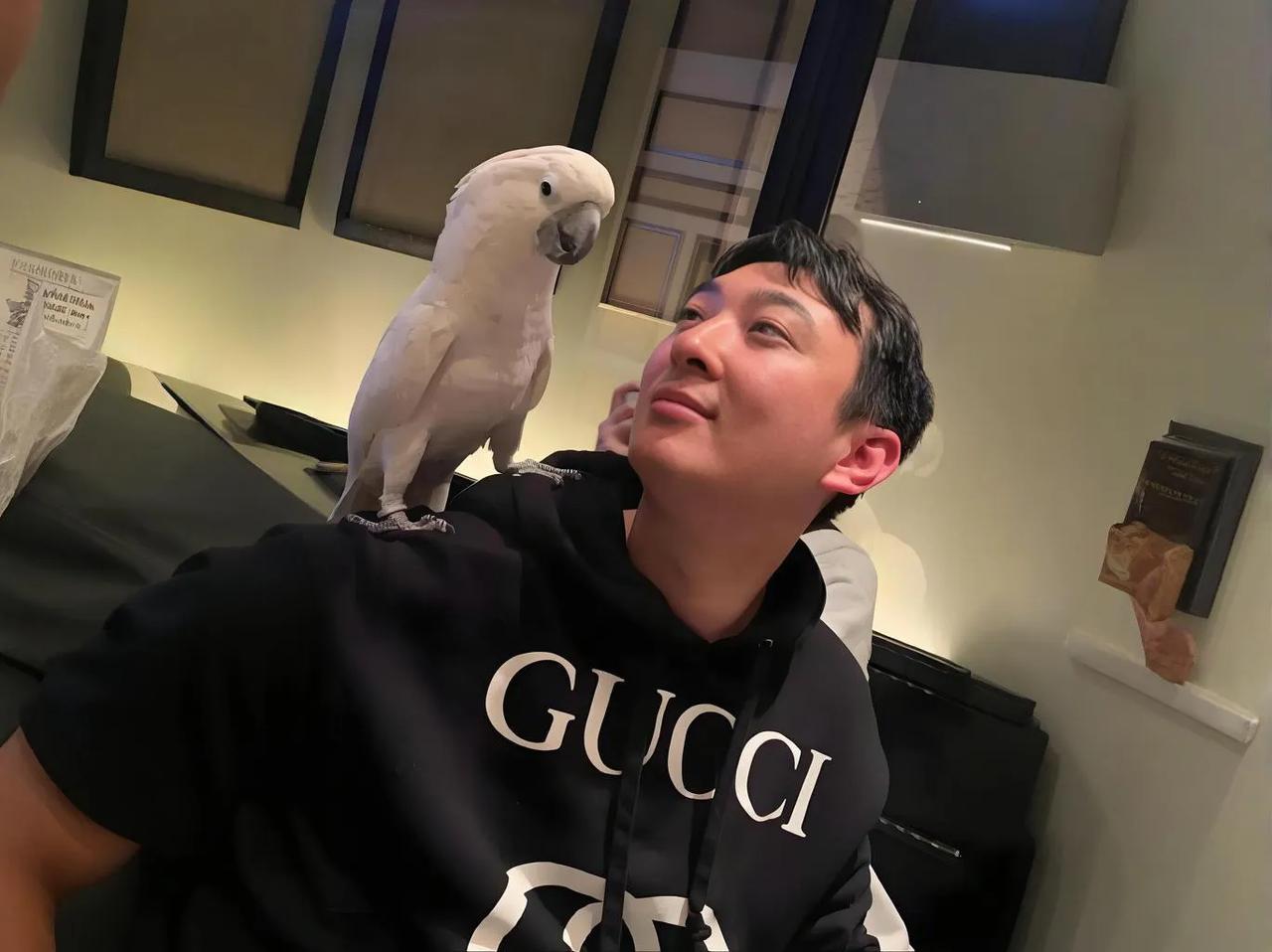 王思聪作为公众人物，他的感情生活一直备受关注。有人说他有钱有颜，自然能左拥右抱；