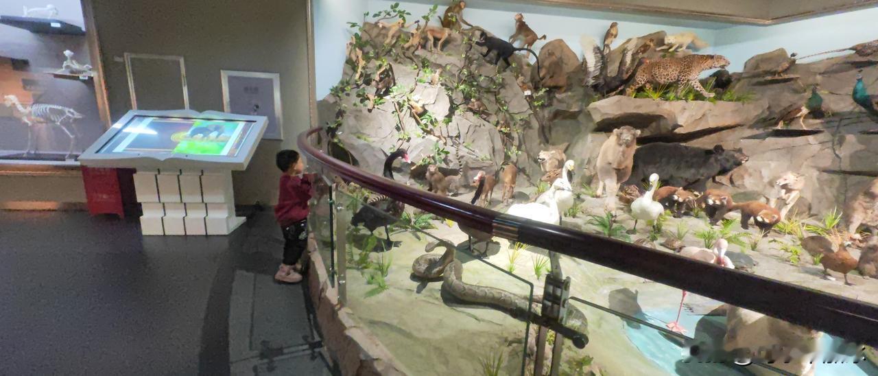 家人们谁懂啊！

这哪是博物馆，这分明是把一整个疯狂动物城搬进了展厅！
 
你看