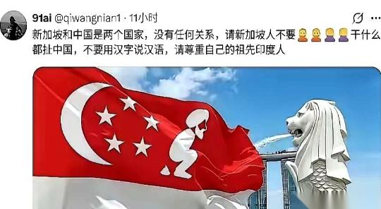 这两天，外网被一句极度刺耳的反讽刷爆了：“请新加坡尊重自己的祖先印度人，别干什么