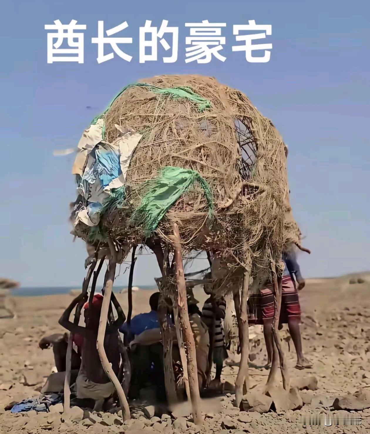 我感觉一点也不羡慕酋长了！
